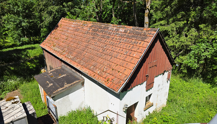 Schuppen