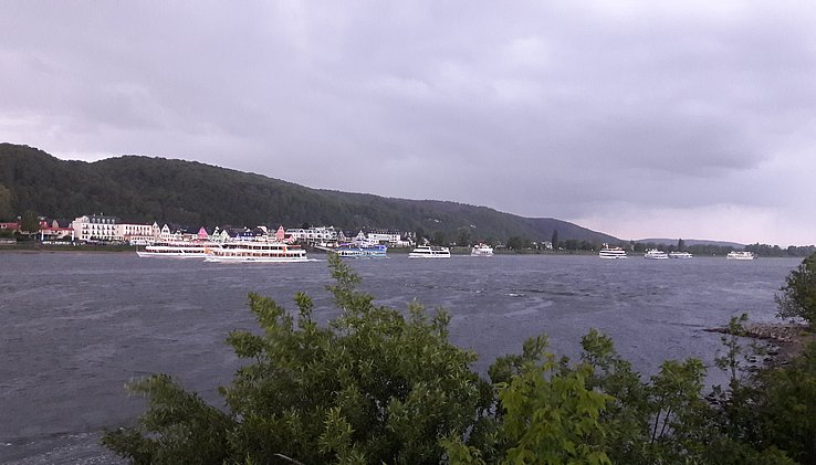 20190504_203806.jpg