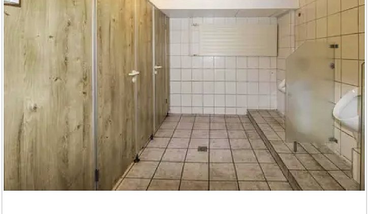Bild-11.jpg