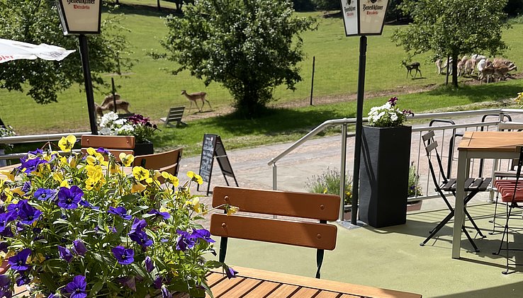 Blick von der Terrasse auf das Gehege
