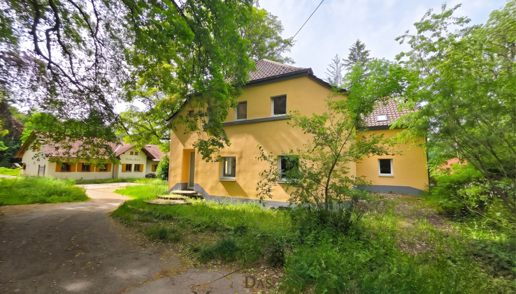 Waldhaus Donnersberg