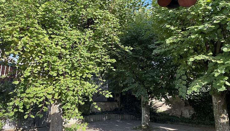 IMG_5699.jpeg